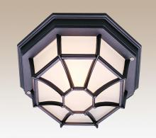 Trans Globe 40582 BK - 1LT FLUSH-SPIDER-LRG-OUTD-FROS