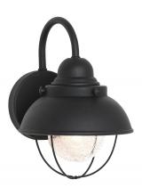 Generation Lighting 8870EN3-12 - Sebring Small One Light Outdoor Wall Lantern
